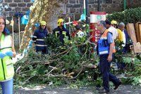 Oslavy svátku Panny Marie skončily tragicky. Strom na Madeiře zabil deset lidí