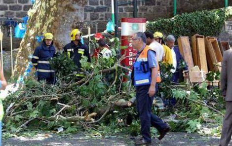 Na Madeiře spadl strom. Zabil nejméně 10 lidí.