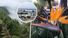 Reportáž z Madeiry: Jaká je dovolená na ostrovu věčného jara.