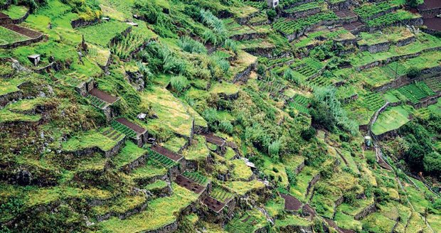 Typičtejší pohled na Madeiru - svahy zarostlé bujnou subtropickou vegetací, na kterých si místní zemědělci zbudovali typická terasovitá políčka