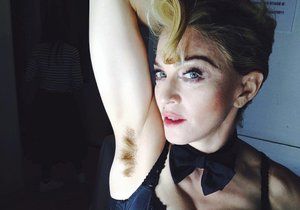 2014 – Madonna podpořila kampaň Umění pro svobodu.