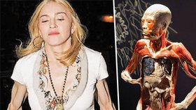 Šlachovitá Madonna: Utekla z výstavy Bodies?