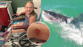 Dívku (9) na mělčině napadl žralok: Rodina si myslela, že zranění předstírá, dokud se voda nezbarvila krví!