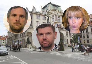 Další oblasti, v které se koaliční partneři na magistrátu hlavního města neshodli, je družstevní bydlení.