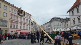 Protože šlo o tradici, zavrhli olomoučtí radní použití jeřábu a májku nechali vztyčit tradičním způsobem