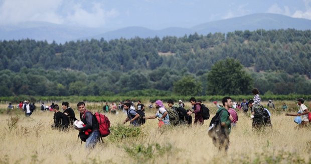 Azyl pro uprchlíky? Největší zájem je o Německo, Česko je na chvostu