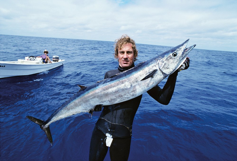 Sportovními rybáři vyhledávaná makrela Solandrova může být až 2,5 m dlouhá