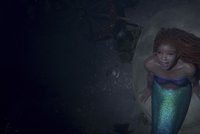 Katalog filmů: Malá mořská víla (The Little Mermaid)