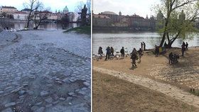 Více zeleně na nábřeží: Počítá se s revitzalizací parku Cihelná, přibudou stromy, růže i studna