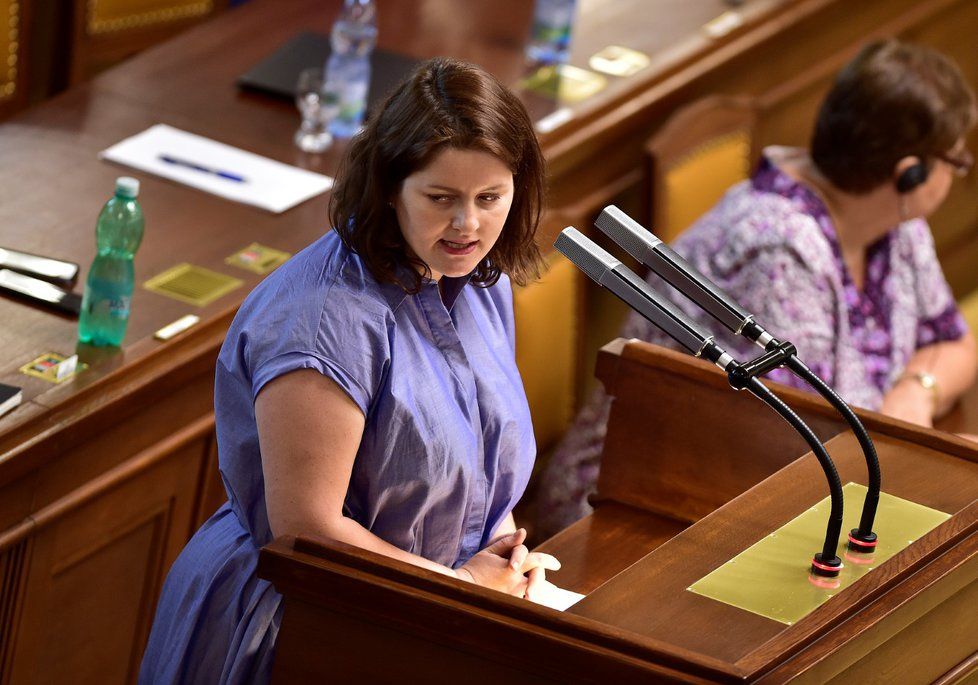 Ministryně Jana Maláčová (ČSSD) ve Sněmovně