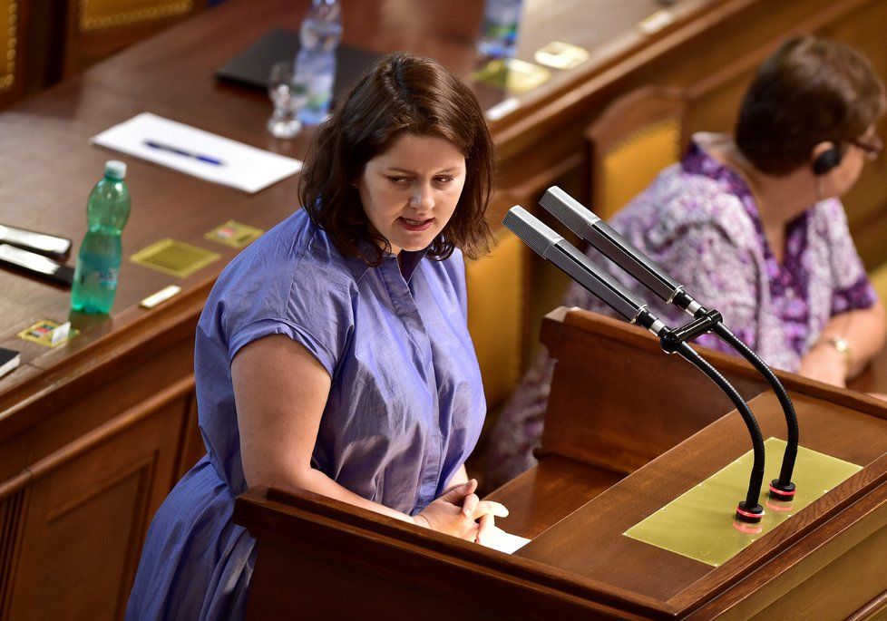 Aleš Chmelař je manželem ministryně Jany Maláčové (oba ČSSD).