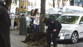 Policisté využili k ohledání místa činu také psa.