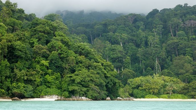 Tioman je ostrov ve státě Pahang a oblasti Rompin v Malajsii.