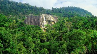 Příroda Malajsie: Skutečný ráj pro milovníky divoké džungle i podmořského života