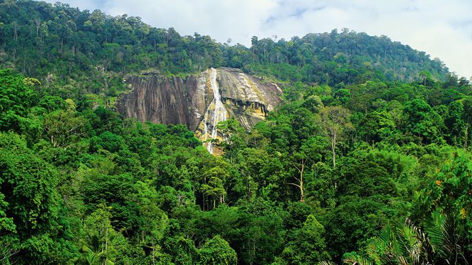 Nejvyšší vodopád celé jihovýchodní Asie na 1422 metrů vysoké hoře Gunung Stong stříbrně svítí na míle daleko ze smaragdových kopců džungle Jelewang