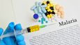 Nová potenciální vakcína proti malárii má v klinických testech až stoprocentní účinnost.