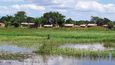 Tradiční pohled na jednu z mnoha rybářských osad roztroušených v zelené krajině při břehu jezera Malawi