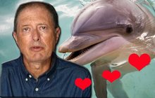 Muž popsal sex s delfínem: Hezky se mi nastavila a… 