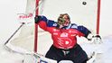 Na snímku pardubický brankář Malcolm Subban