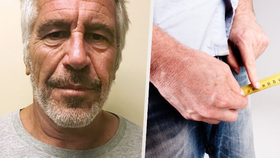 Jeffrey Epstein a malé přirození