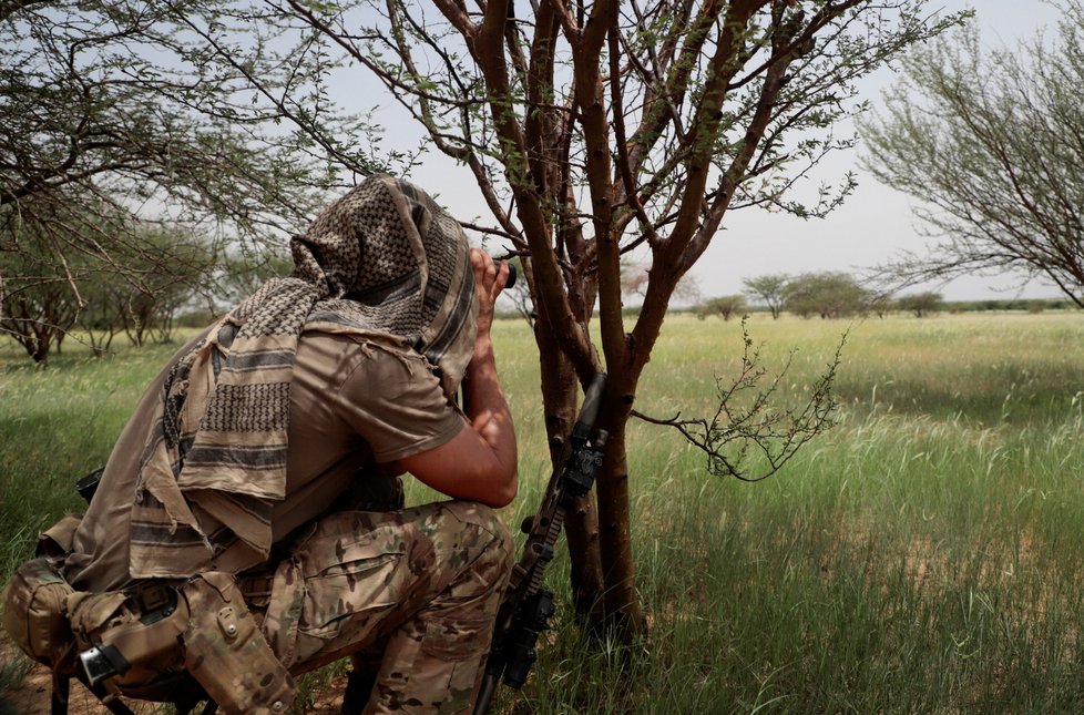 Operace Takuba: Akce speciálních sil pod francouzským velením proti radikálům v Mali