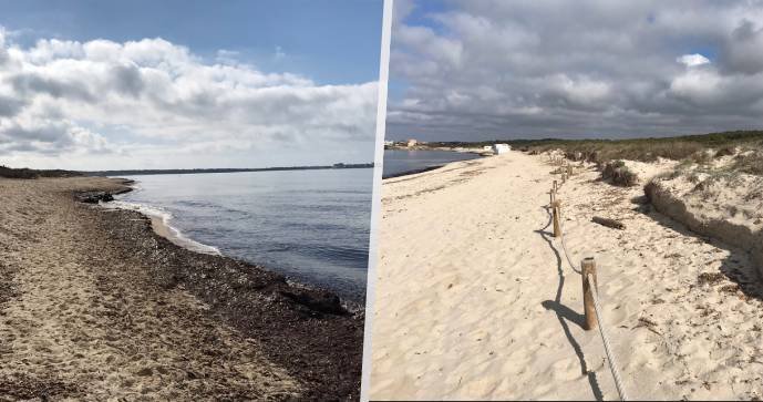 Pláže na Mallorce zaplavily nánosy tlejících řas, turisté si stěžují na silný zápach