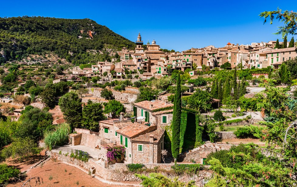 Valldemoss