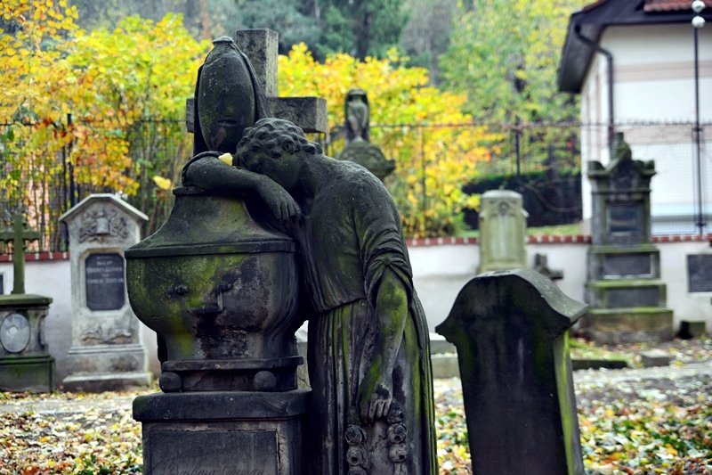 Hřbitov byl veřejnosti zpřístupněn v létě 2016. Dnes jej dává Spolek Malostranských hřbitovů do původního stavu