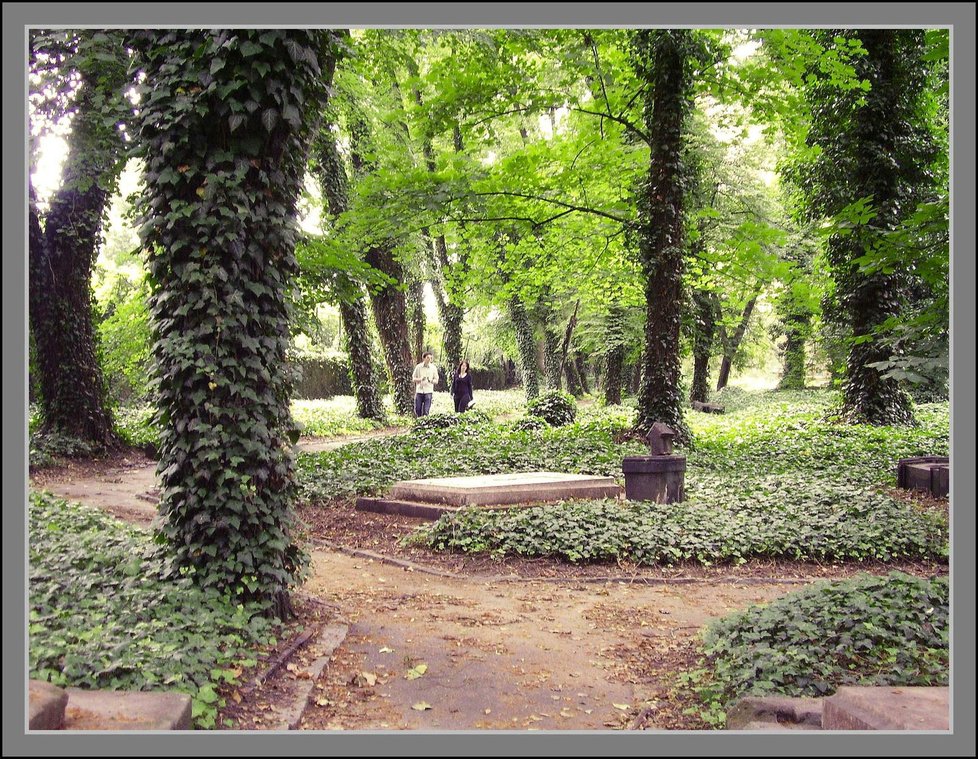 Malostranský hřbitov se po 15 letech znovu otevře veřejnosti.