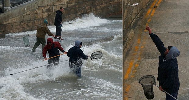 Na Maltě pršely stovky ryb z nebe. Lidé oběd zdarma sbírali na ulici i ve vlnách