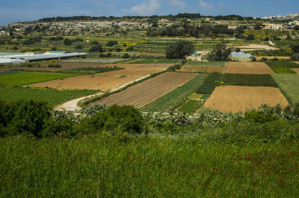 Malta: Ostrov mimo čas a prostor vybízí k romantice i ochutnávkám specialit.