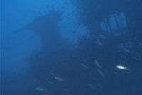 Archeologové rozlouskli záhadu zmizelé ponorky: Po 77 letech ji našli na dně moře