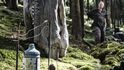 Velké malé věci se právě dějí v jihočeských lesích. Exteriérovou loutkovou pohádku Malý pán tady natáčí filmový štáb pod vedením režiséra Radka Berana.