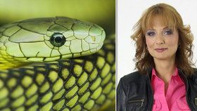 Psycholožka Radana Štěpánková rozebírá důvody, proč někdo doma chová smrtelně jedovaté hady.