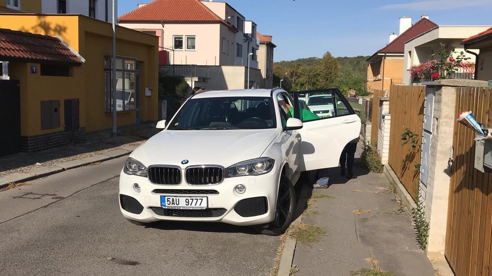 Mamba zelená se ztratila v domě v pražských Hlubočepích.