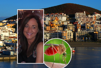 Hrůza na Tenerife: Maminku poštípal komár a... Po kolapsu bojuje o život!