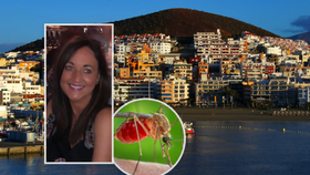Maminka Emma na Tenerife zkolabovala po kousnutí komárem.