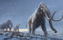 Nová rekonstrukce mamuta stepního vznikla na základě přečteného genomu milion let starého jedince