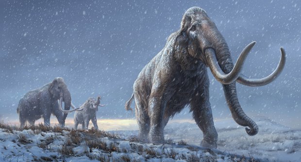 Zcestovalý mamut: Aljaškou sem a tam