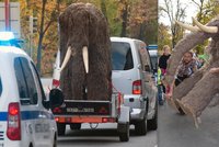Nezvyklá podívána v Uherském Hradišti: Pozor, jede mamut!