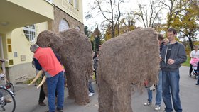 Mamuta museli rozdělat, aby prošel dveřmi do expozice