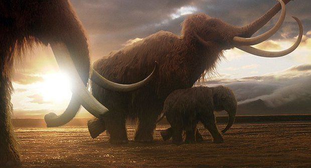 Pitva mamuta: Kdo byl vrahem prazvířete ze Sibiře?