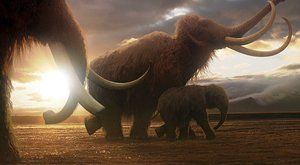 Pitva mamuta: Kdo byl vrahem prazvířete ze Sibiře?