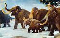 Stáda mamutů se v pleistocénu starala o udržování ekosystému dálného severu