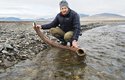 Mamutí kel, který na Wrangelově ostrově unášela řeka