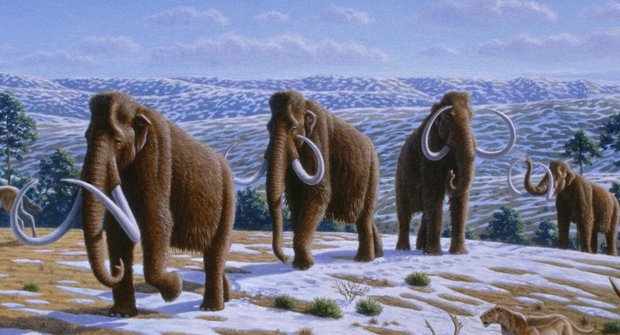 Poslední z mamutů: Hrdinové doby ledové