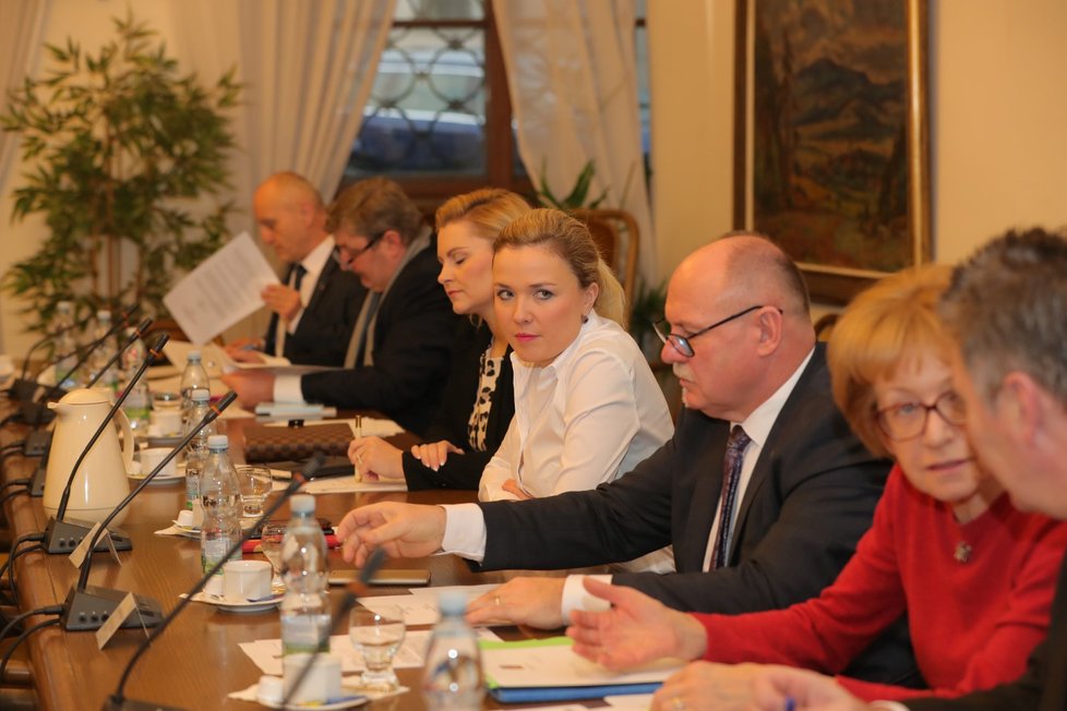 Zástupkyní ANO v imunitním výboru je mj. Taťána Malá (uprostřed v bílém).