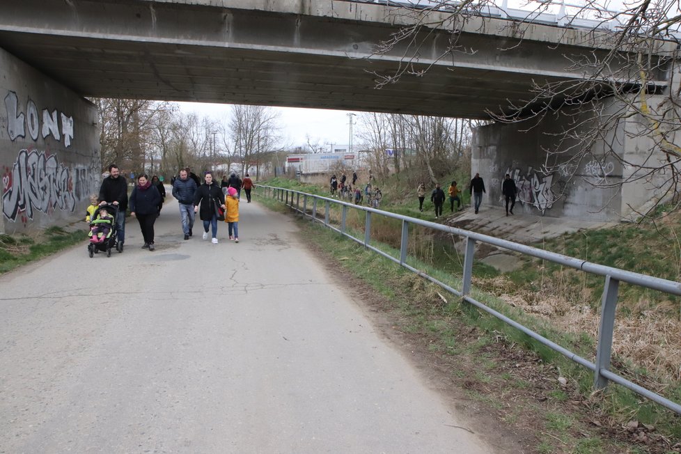 Rozkvetlé mandloně v Hustopečích přilákaly tisíce návštěvníků