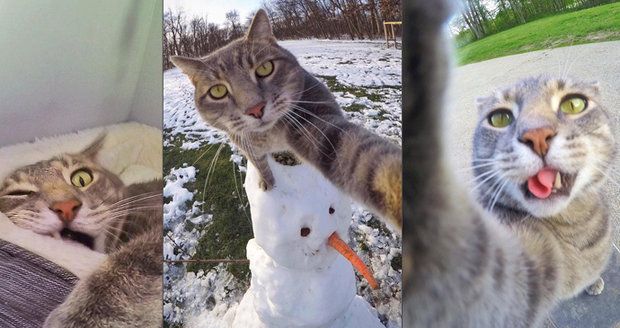 Selfie čičí: Kočka Manny ráda fotí autoportréty