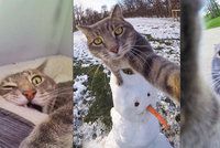 Selfie čičí: Kočka Manny ráda fotí autoportréty